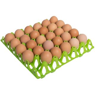 Eier tray  für 30 Hühnereier, grün, 302x304mm