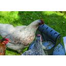 Beeztees Hühner Spiel-und Snackturm / Futterspender grau 30x30x30