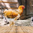 KNOBLAUCH-VITAL unterstützt gegen Milben bei Hühnern Futterzusatz von MeineHennen Set